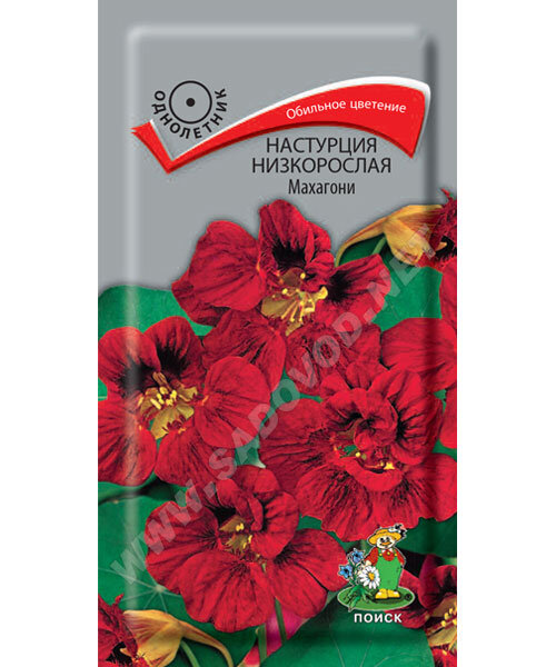Настурция Махагони (низкорослая) семена
