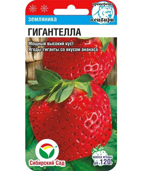 Клубника Гигантелла семена 