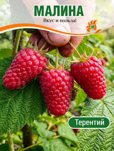 Малина Терентий Малина Терентий