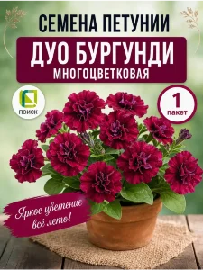 Петуния махровая многоцветковая Дуо Бургунди Петуния махровая многоцветковая Дуо Бургунди