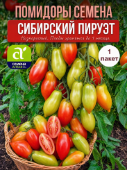 Томат Сибирский Пируэт
